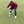 Gerard T